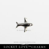 Travel Charm for Floating Locket Love Airplane Charm