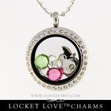 Teacher Charm for Floating Locket Love - Apple Charm