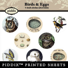 Piddix  - 1 Inch Collage Sheets - Birds & Eggs - Circle